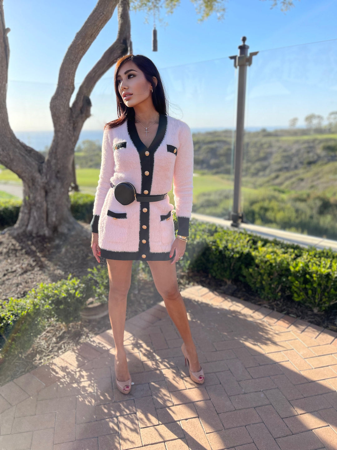 primrose mini dress Primrose Mini Dress M